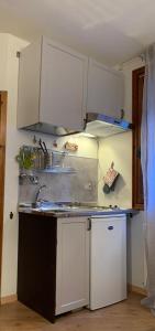 福波洛Piccolo Rifugio di Foppolo的厨房配有白色橱柜和水槽