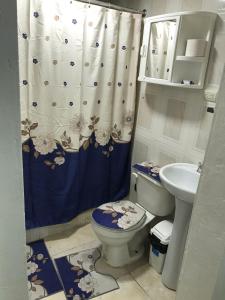 圣多明各Hostal Magisterial Santo Domingo的一间带卫生间和水槽的浴室