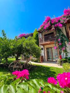 法拉尔雅Faralya Misafir Evi的院子里有粉红色花的房子