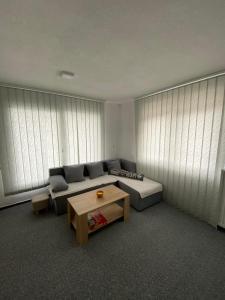 大克拉杜沙Imperial exclusive apartments的带沙发和咖啡桌的客厅