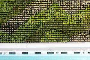 洛杉矶Short Stories Hotel的池边墙上的一堆植物