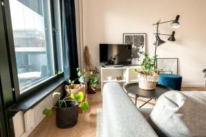 赫尔辛基2ndhomes Cozy high-quality Studio in Kluuvi with Balcony的带沙发和盆栽植物的客厅