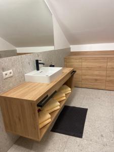 阿尔滕马克特蓬高Ski & Bike Appartements的浴室配有盥洗盆和带毛巾的台面。