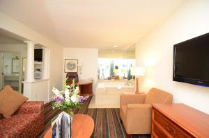 阿什维尔比尔特莫东质量套房酒店的带沙发和电视的客厅