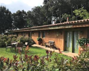 阿尔武希耶斯Stunning 4-Bed Cottage in Montseny Natural Park的院子里的砖屋,配有桌椅