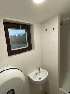 WeseritzNature Center Údolí volavek II的一间带水槽和卫生间的浴室以及窗户。