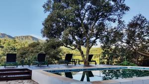 蒂拉登特斯Baubrasil Village的一个带椅子和桌子的游泳池以及一棵树