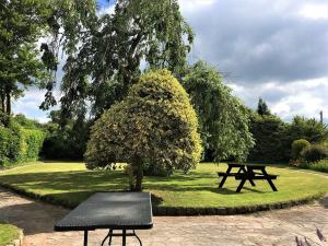 奥尔顿Shaw House的公园里的野餐桌和一棵树