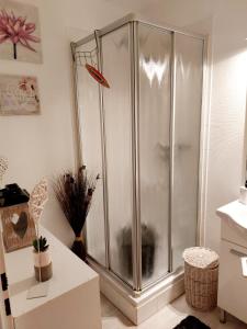 图卢兹Chez mimi的浴室里设有玻璃门淋浴