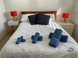 FreshwaterHarbord House - Ocean views, plunge pool, 2 bed, free-wi-fi, superb location的一张带三个蓝色枕头的床
