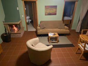 克桑西916高山度假村的带沙发和壁炉的客厅