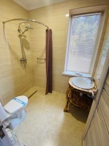 皮利佩齐DACHA на Магурі的一间带水槽、淋浴和卫生间的浴室