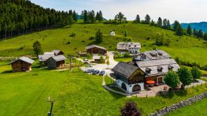阿布特瑙Sonnleit'n Zimmer的绿色山丘上房屋的空中景致
