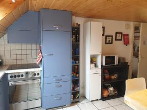 LeuzigenApartment Dorfstrasse 16的厨房配有大蓝色冰箱
