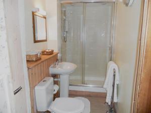 Polruan费尔梅登乡村别墅的带淋浴、卫生间和盥洗盆的浴室