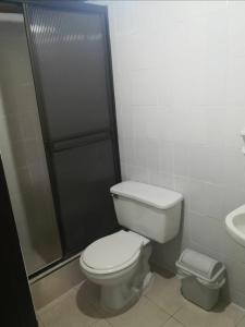 波帕扬Hotel Don Blas的一间带卫生间和淋浴的浴室