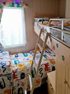 赫彻姆Pebble的一间卧室设有两张双层床和一扇窗户。