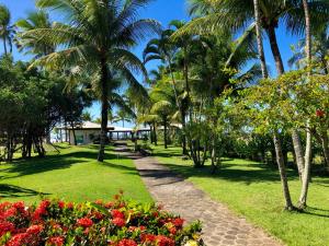 伊列乌斯花园艾特兰缇克海滩度假村的一条穿过棕榈树和鲜花盛开的公园的小路