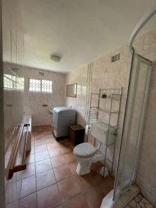 威廉王城Repose Guest house!的一间带卫生间和水槽的浴室