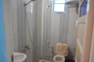 阿斯旺Golden nubian guesthouse的带淋浴、卫生间和盥洗盆的浴室