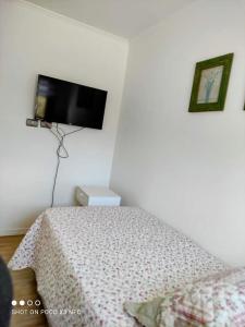 特木科Santa Teresa Hostel的卧室配有一张床和壁挂式平面电视。