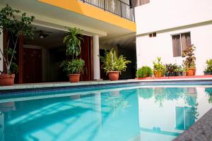 圣萨尔瓦多温莎广场酒店的一座种植了盆栽植物的建筑前的游泳池