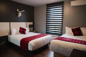 昂基博塞茹尔旅馆的一间卧室设有两张床和窗户。