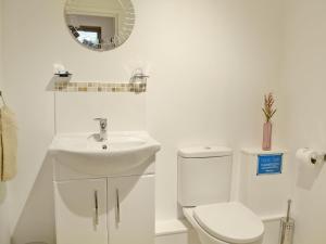 Horsted KeynesTiger的白色的浴室设有卫生间和水槽。