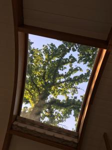 巴斯Skylark Shepherds Hut的树上望着房子的窗户