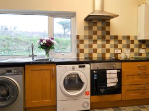 GoosehamDoves Den的厨房配有洗衣机和水槽
