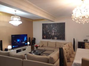 开罗New Boutique Apartment Egypt的带沙发和电视的客厅