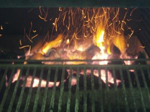 阿尔莫多瓦尔德尔里奥圣路易斯旅馆的烤架上放着一堆火