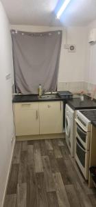 马瑟韦尔Modern flat in Jerviston Court的厨房配有水槽和洗衣机