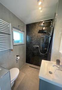 甘德尔克塞moor-home Studio Apartment的带淋浴、卫生间和盥洗盆的浴室