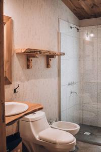 圣拉斐尔Posada Los Cipreses的浴室配有卫生间、盥洗盆和淋浴。