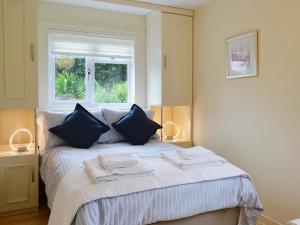 LlangennyTegfan的一间卧室配有一张带蓝色枕头的床和一扇窗户。