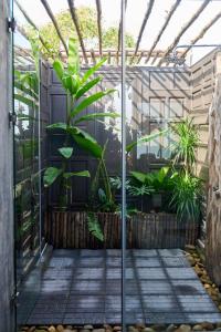 顺化NANO ECO-HOSTEL的一座种植了植物的玻璃温室花园