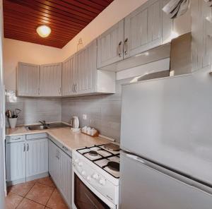 诺维·维诺多尔斯基Apartments Zoričić的厨房配有白色橱柜和白色冰箱。