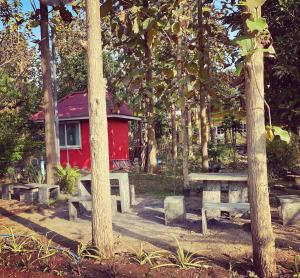 清迈LPL Resort的在树木繁茂的公园里野餐桌和长椅