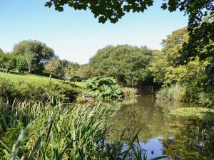 CarleenChywood Barn的公园池塘的景色