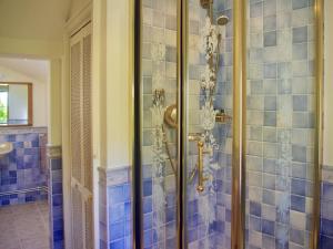 ChedworthIvy Cottage的浴室设有蓝色瓷砖淋浴。