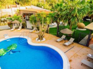 蒙卡达和雷克萨奇CARIBBEAN Home的享有棕榈树游泳池的顶部景致