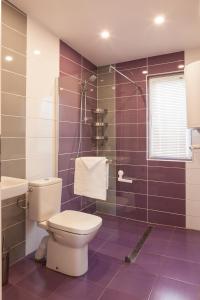 克拉佩茨Krapets Holiday Villas的紫色浴室设有卫生间和水槽