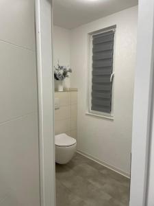 艾森纳赫Tolle Ferienwohnung im Herzen von Thüringen的白色的浴室设有卫生间和窗户。