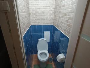 乌斯季卡缅诺戈尔斯克Lux Home на Амурской的蓝色瓷砖客房的浴室设有卫生间