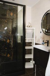 托伦Golden Apartament Legionów的带淋浴和盥洗盆的浴室