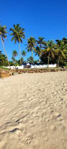 ShertallaiMarari Sailor Homes的棕榈树的沙滩