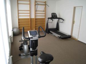 波杰布拉迪拉真丝凯公园酒店的一间设有跑步机和举重器材的健身房的客房