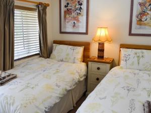 利扎尔德Skyber Cottage的一间卧室配有两张床和床头灯。