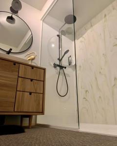 博兰Les pavillons de La Libellule的一间带镜子和橱柜的淋浴的浴室